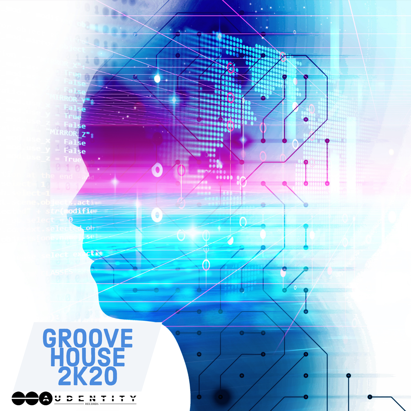 Groove House 2k20 Audentity