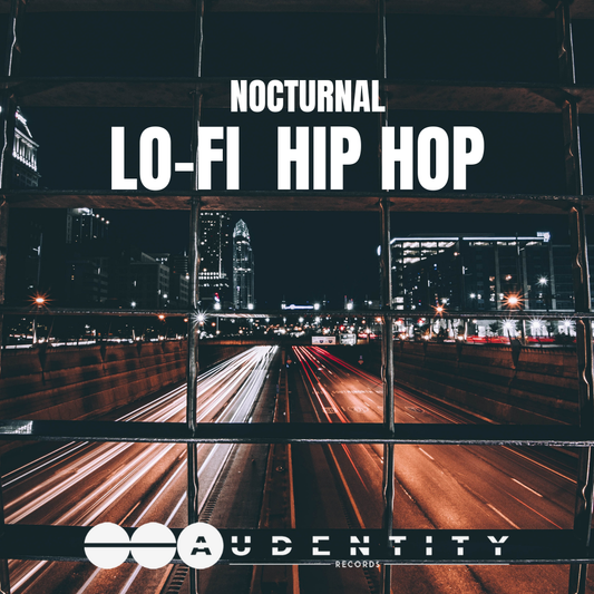 Nocturnal LoFi Hip Hop