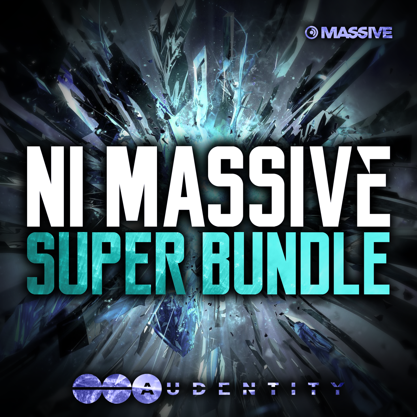 NI Massive bundle