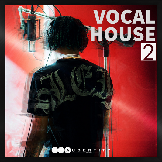Vocal House Vol.2