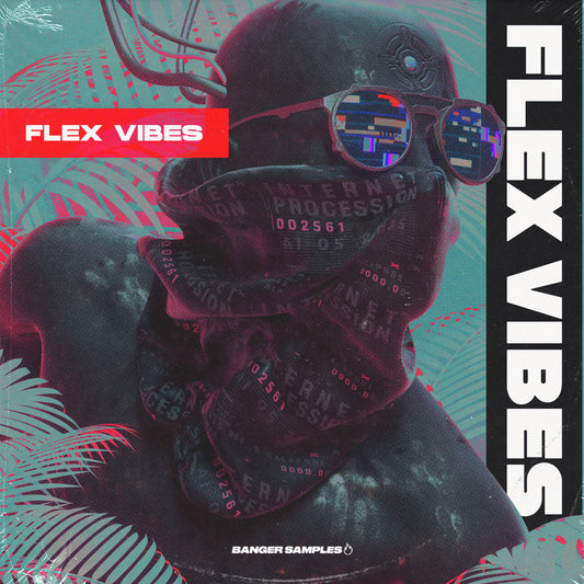 Flex Vibes