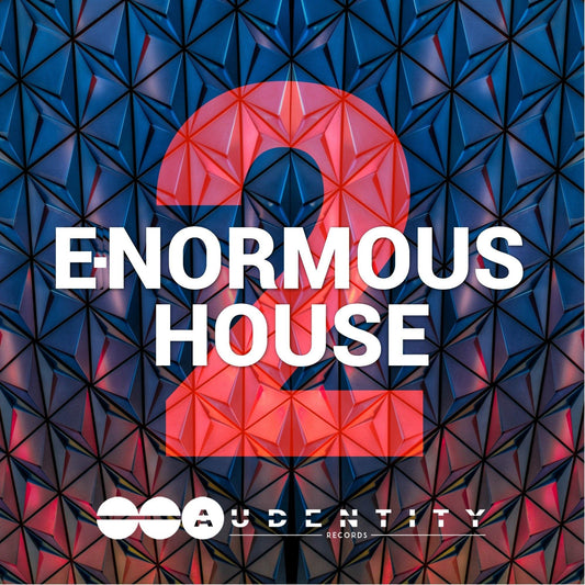 E-Normous House 2 - Audentity Records | Samplestore