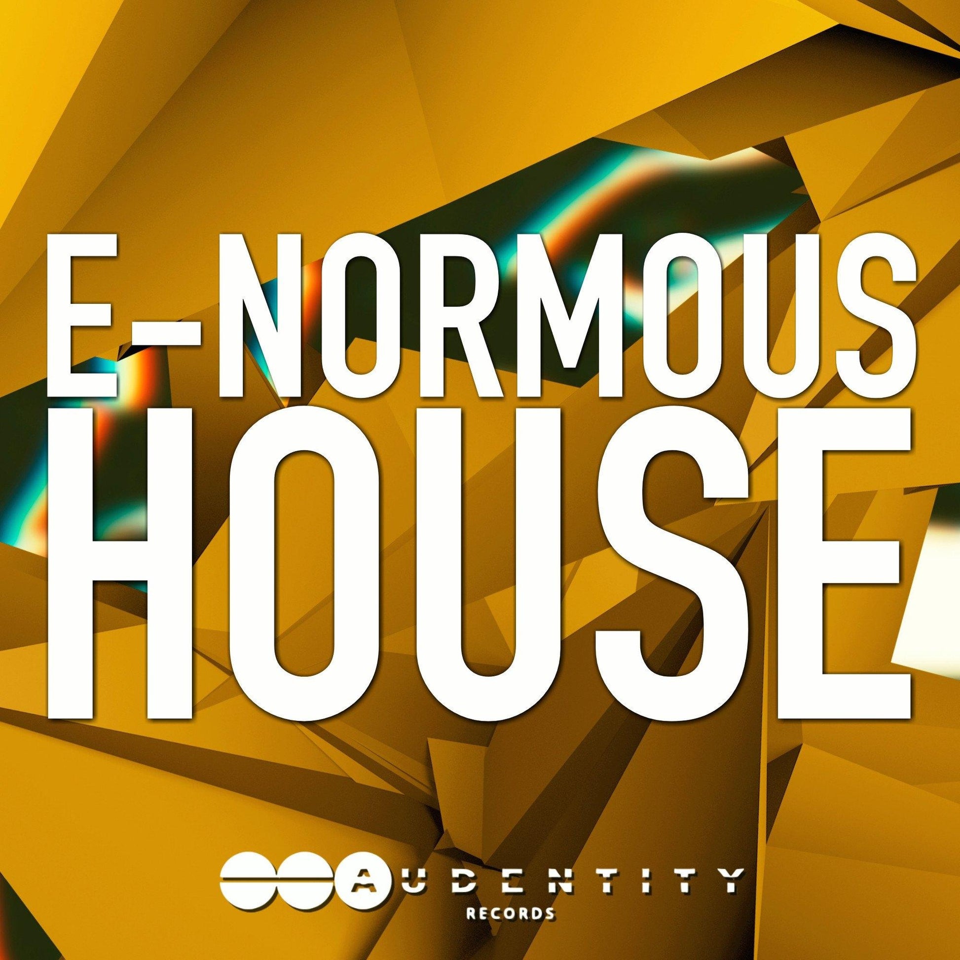 E-Normous House