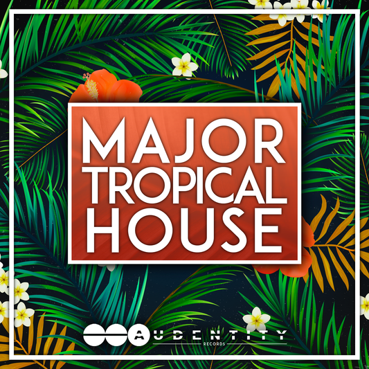 audentity major tropical house