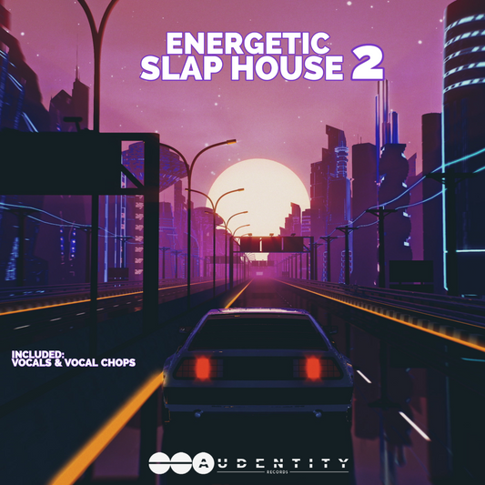 Energetic Slap House 2