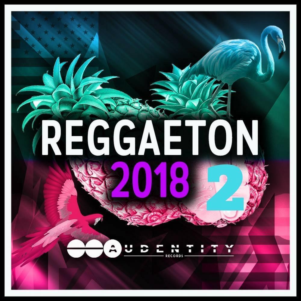 Reggaeton 2018 Vol 2 Samplepack - Audentity Records | Samplestore