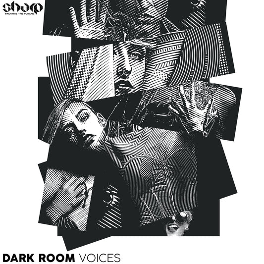 Dark Room Voices